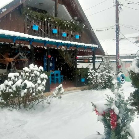 ホテル Casa Toth Din Tipterai Vişeu de Sus エクステリア 写真