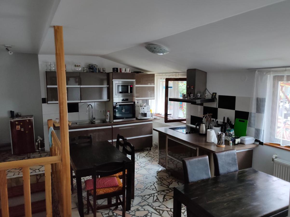 ホテル Casa Toth Din Tipterai Vişeu de Sus エクステリア 写真