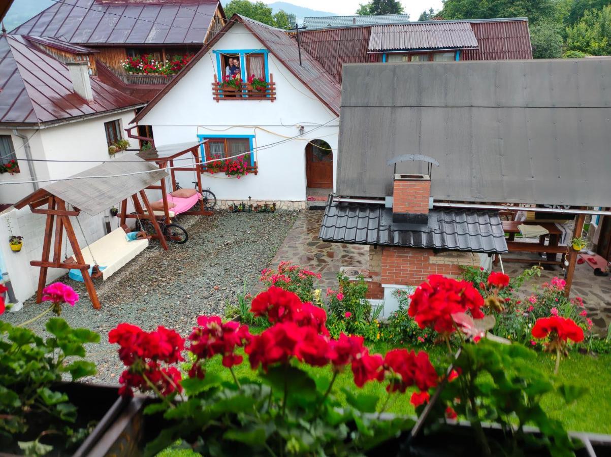 ホテル Casa Toth Din Tipterai Vişeu de Sus エクステリア 写真