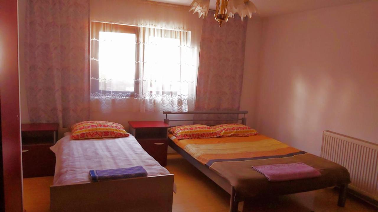 ホテル Casa Toth Din Tipterai Vişeu de Sus エクステリア 写真