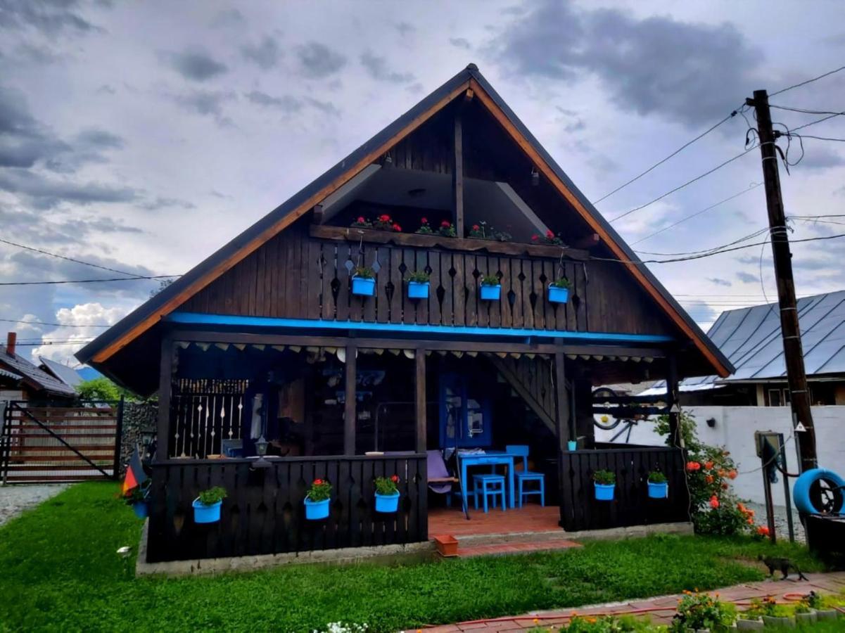 ホテル Casa Toth Din Tipterai Vişeu de Sus エクステリア 写真