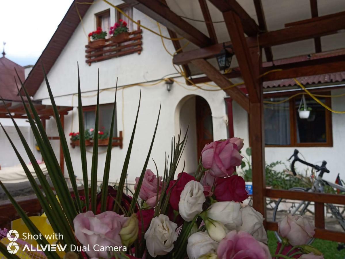 ホテル Casa Toth Din Tipterai Vişeu de Sus エクステリア 写真