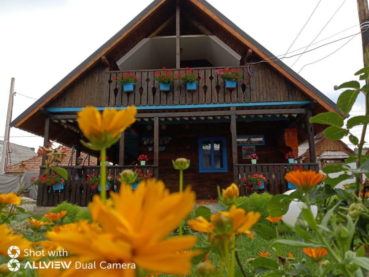 ホテル Casa Toth Din Tipterai Vişeu de Sus エクステリア 写真