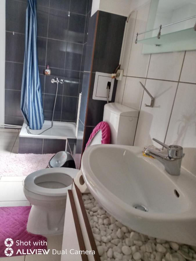 ホテル Casa Toth Din Tipterai Vişeu de Sus エクステリア 写真